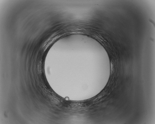 X0000102520291200808081036