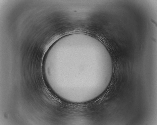 X0000102520292200808081036