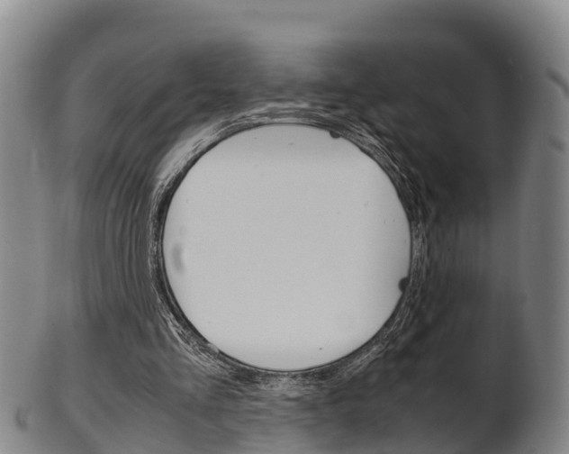 X0000102520293200808081036