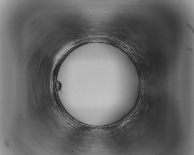 X0000102520294200808081036