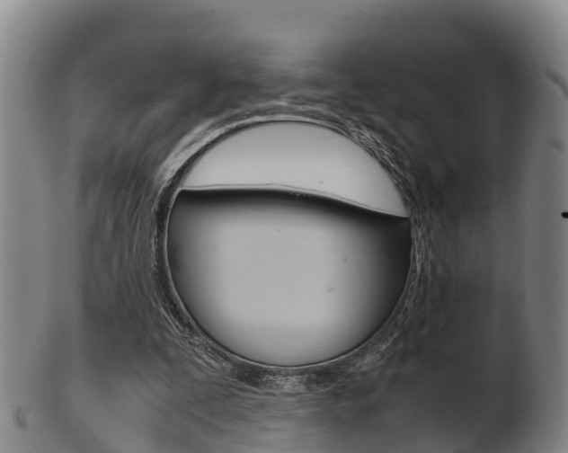 X0000102520295200808081036