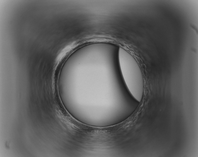 X0000102520296200808081036