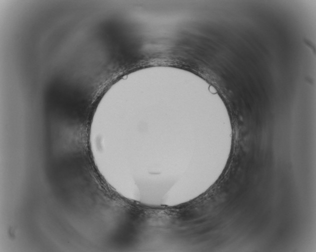 X0000102520297200808081036