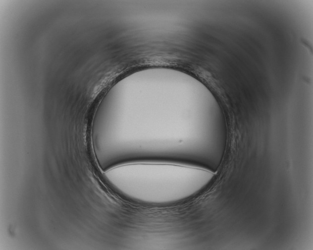 X0000102520299200808081036
