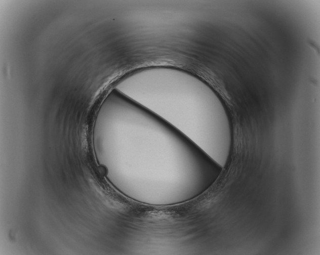 X0000102520300200808081036