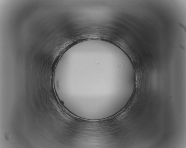 X0000102520301200808081036