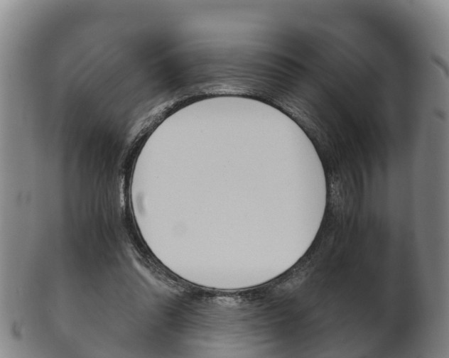 X0000102520302200808081036