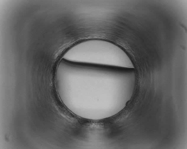 X0000102520303200808081036