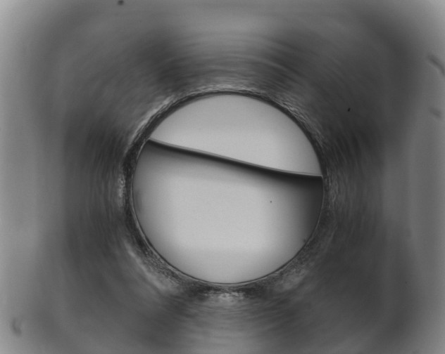 X0000102520304200808081036