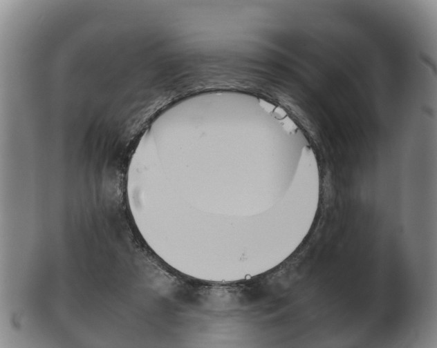 X0000102520305200808081036
