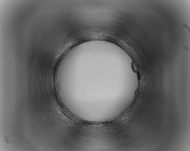 X0000102520306200808081036