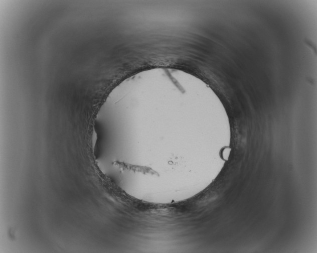 X0000102520307200808081036