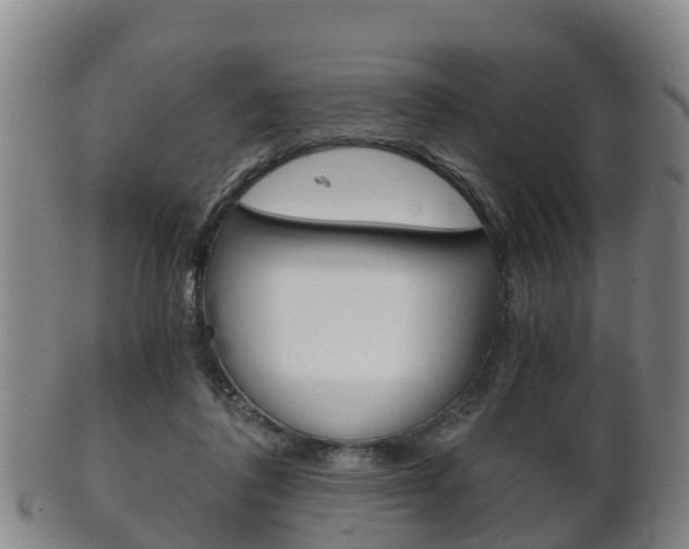 X0000102520308200808081036