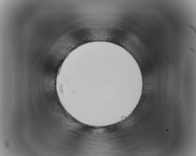 X0000102520309200808081036