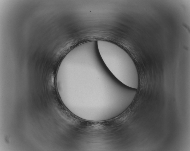X0000102520310200808081036