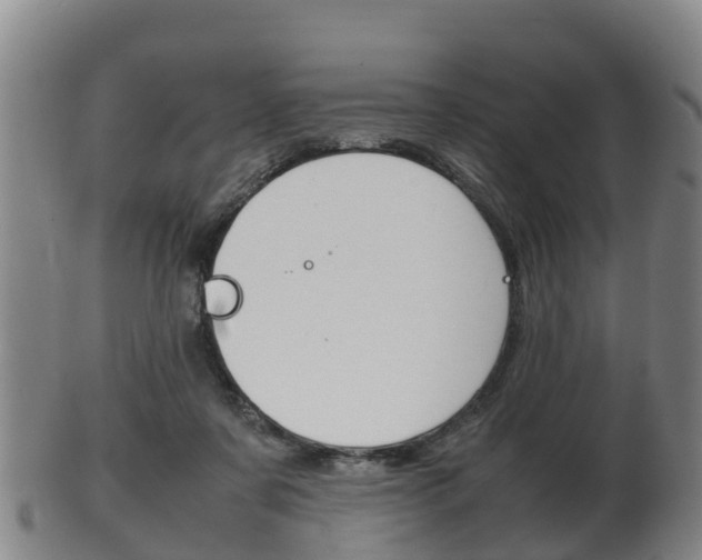 X0000102520311200808081036