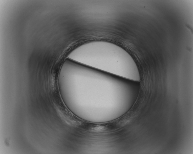 X0000102520312200808081036