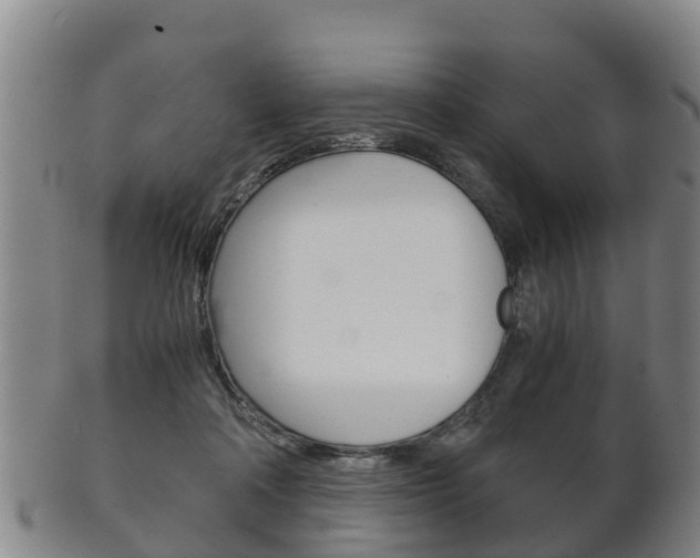 X0000102520314200808081036