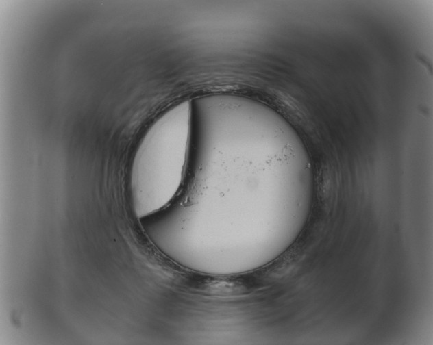 X0000102520315200808081036