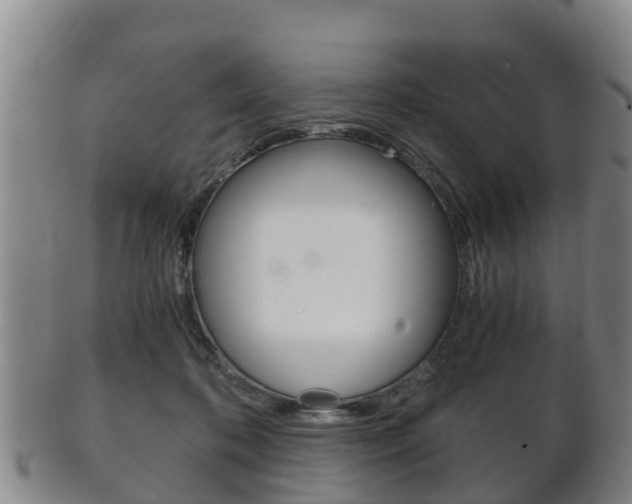 X0000102520316200808081036