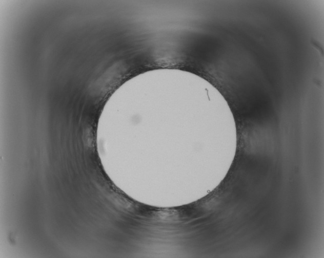 X0000102520317200808081036