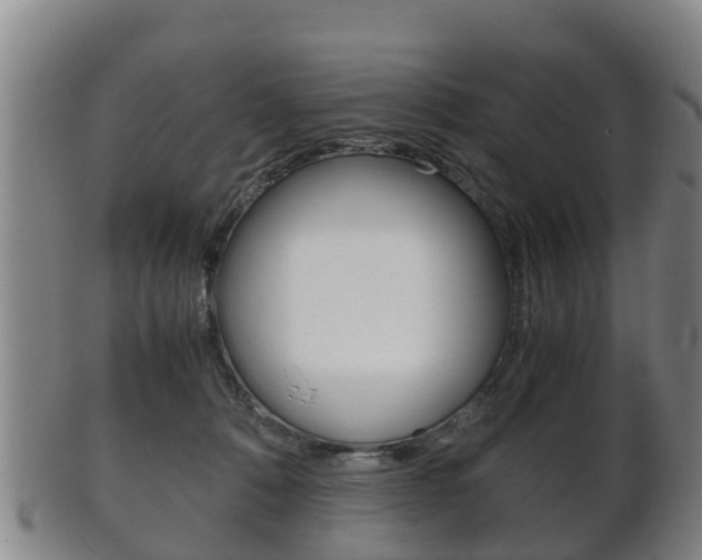 X0000102520320200808081036