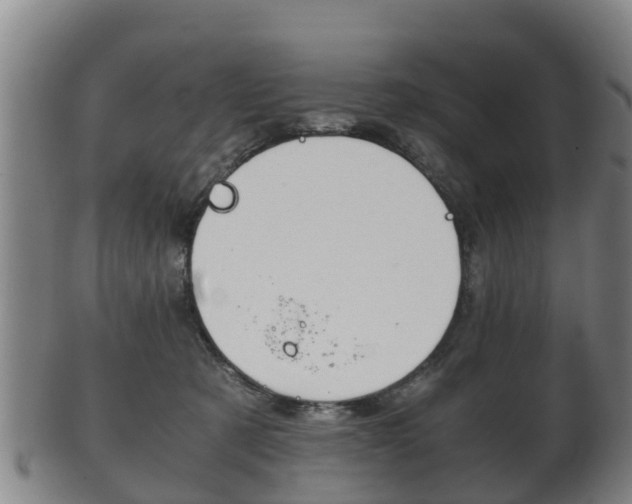 X0000102520321200808081036