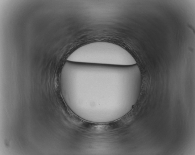 X0000102520323200808081036