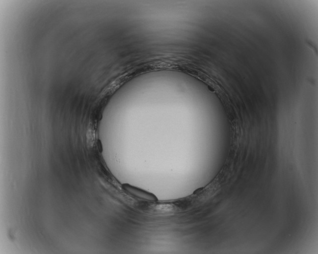 X0000102520324200808081036