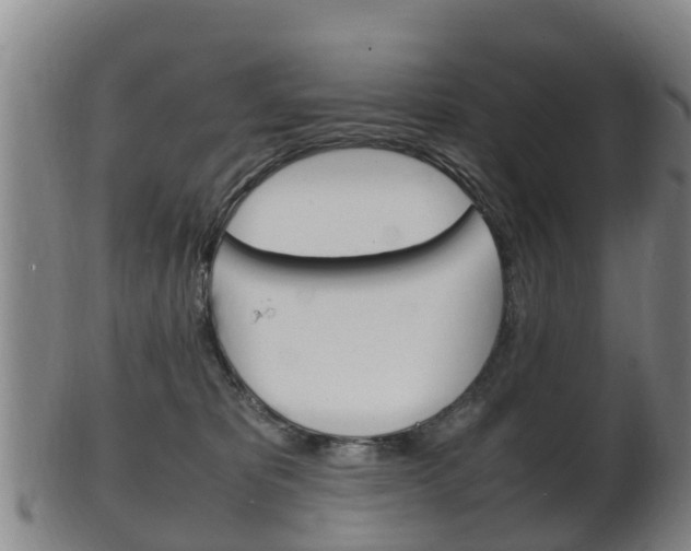 X0000102520325200808081036