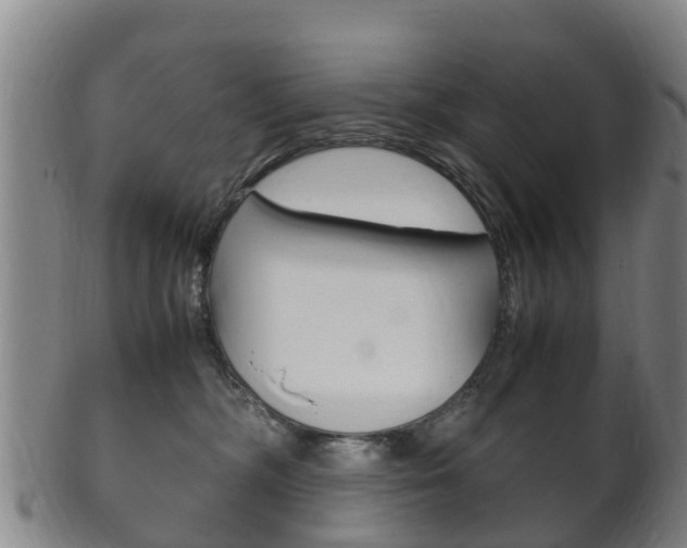 X0000102520326200808081036