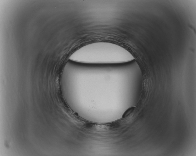 X0000102520327200808081036