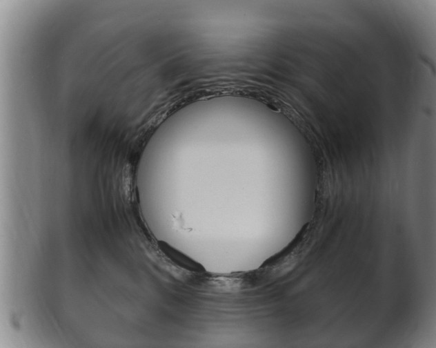X0000102520328200808081036