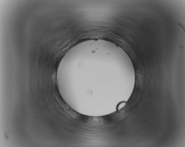 X0000102520329200808081036