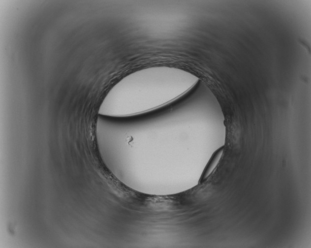 X0000102520331200808081035