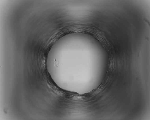 X0000102520332200808081035
