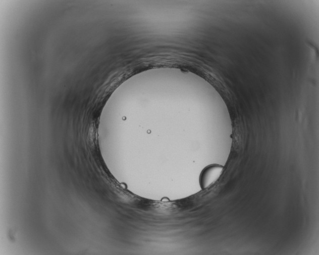 X0000102520333200808081035