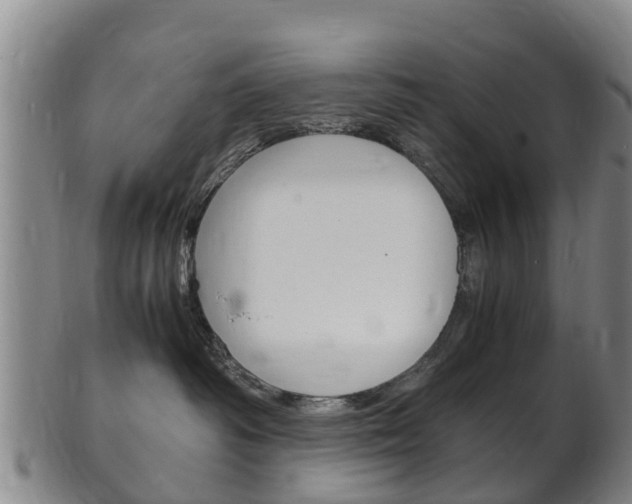 X0000102520334200808081035