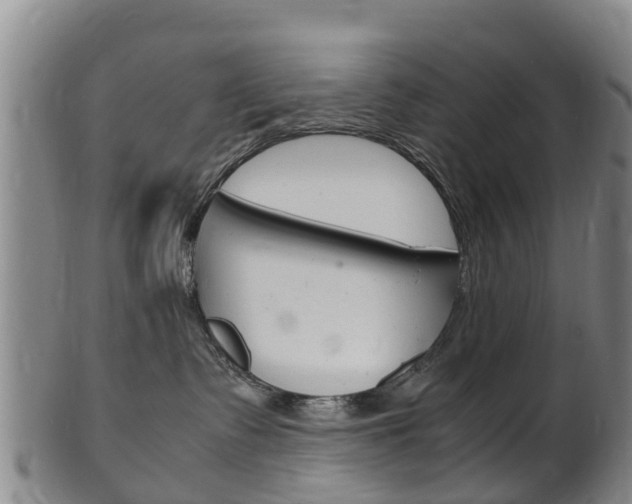 X0000102520335200808081035