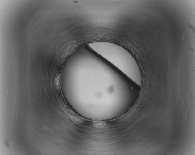 X0000102520336200808081035