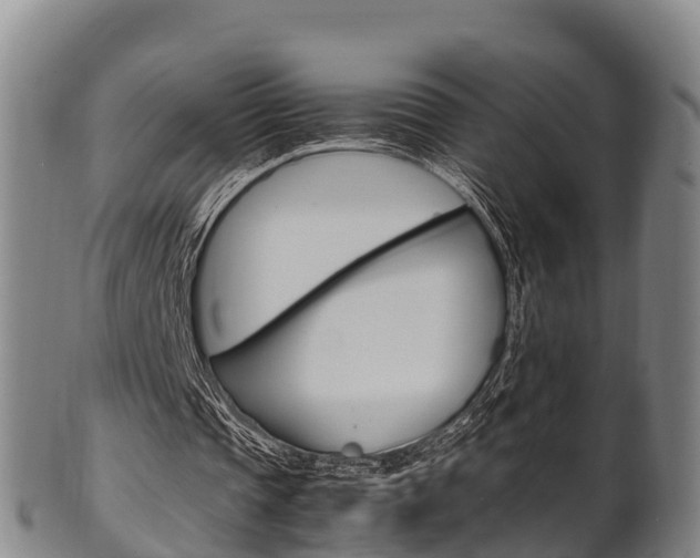 X0000102520337200808081035
