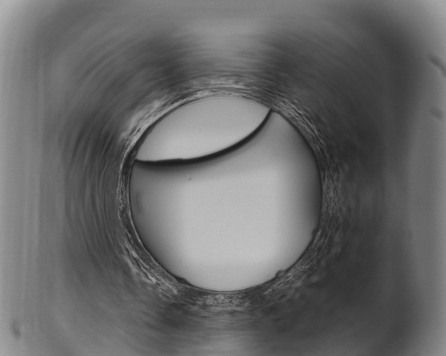 X0000102520338200808081035