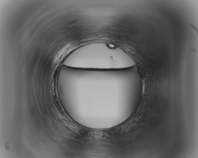 X0000102520339200808081035