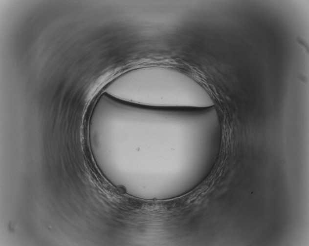 X0000102520340200808081035
