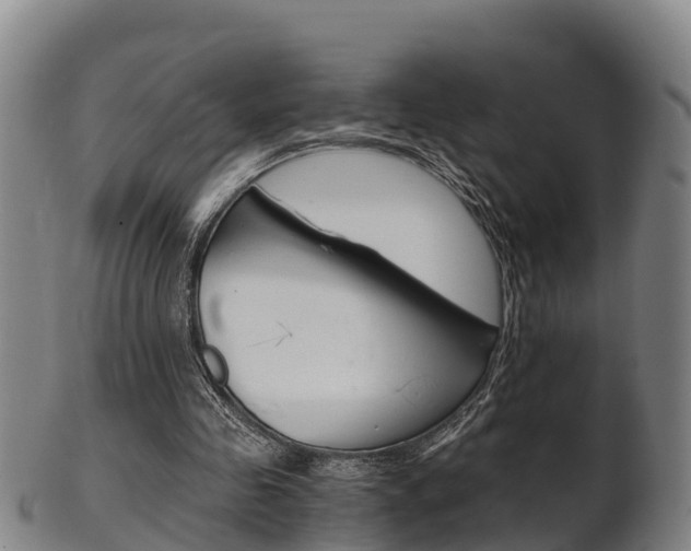 X0000102520341200808081035