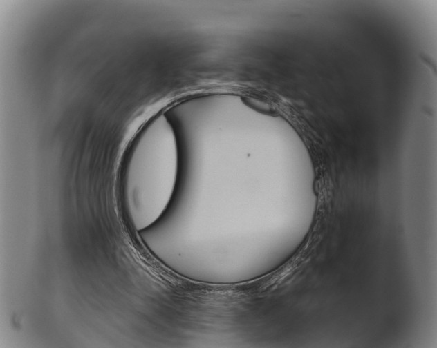 X0000102520342200808081035