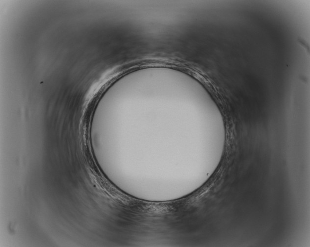 X0000102520343200808081035