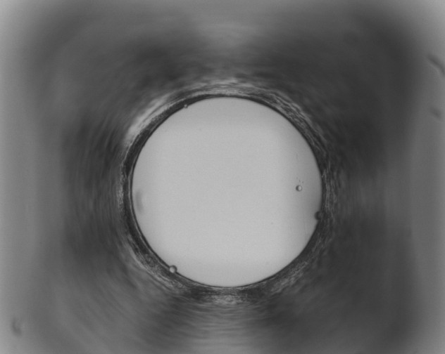 X0000102520344200808081035