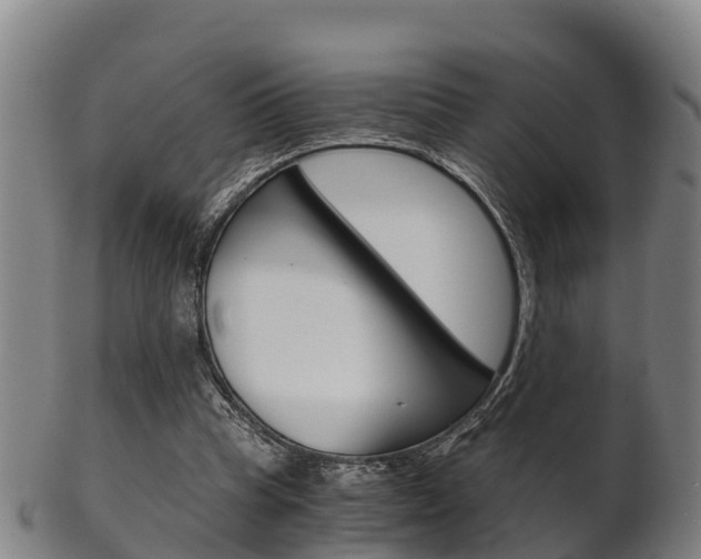 X0000102520345200808081035