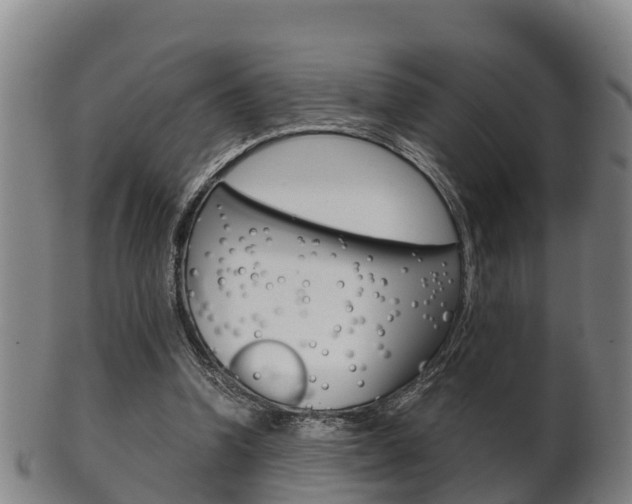 X0000102520346200808081035